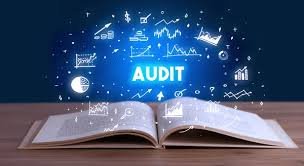 Education Audit
